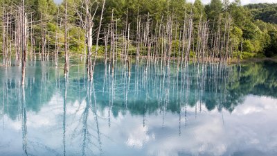 Shirogane Blue Pond: Day Two