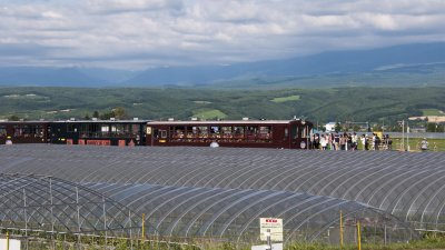 Farm Tomita: Day Three and Six