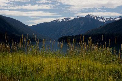 Birkenhead Lake