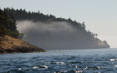 Coastal Island