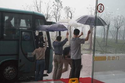 umbrella line
