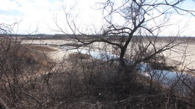 Cherry Creek Park, 31 Jan 2012