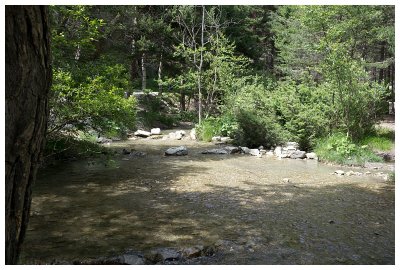 ruisseau de Saint Benoit