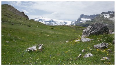 Parc de la Vanoise