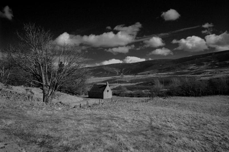 Forest of Birse Kirk...