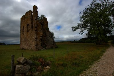Hallforest Castle...