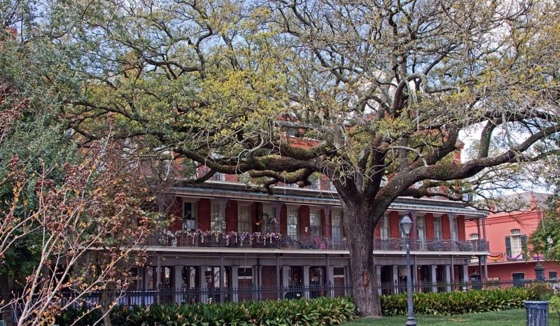 French Quarter
