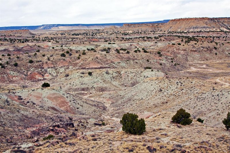  Ojito Wilderness