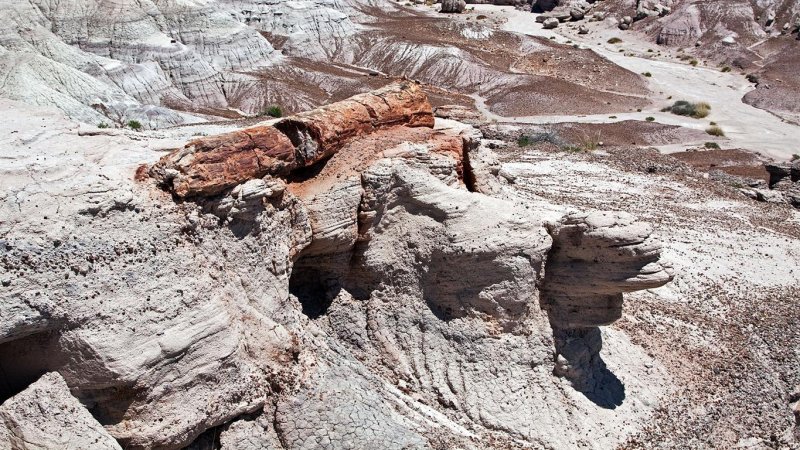 Petrified Forest NP