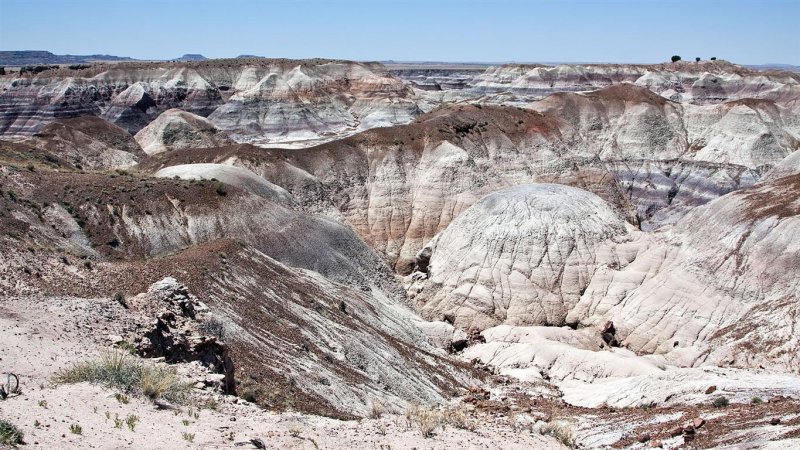 Petrified Forest NP