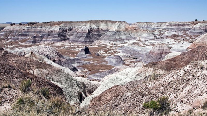 Petrified Forest NP