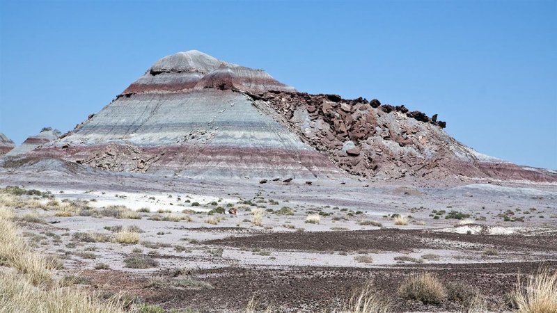Petrified Forest NP