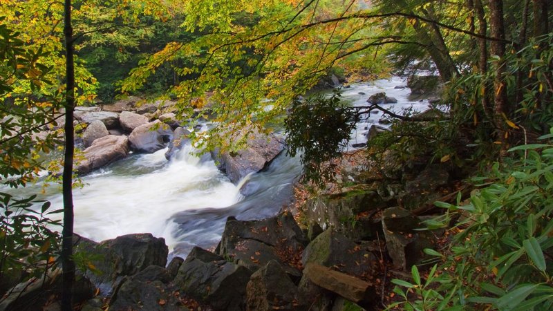 Swallow Falls SP