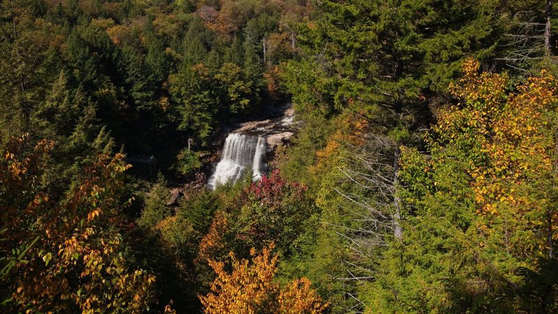 Blackwater Falls