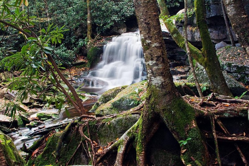Elakala Falls