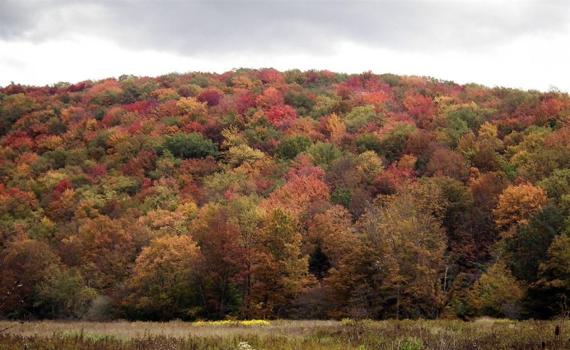Spruce Knob