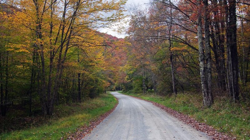 Spruce Knob