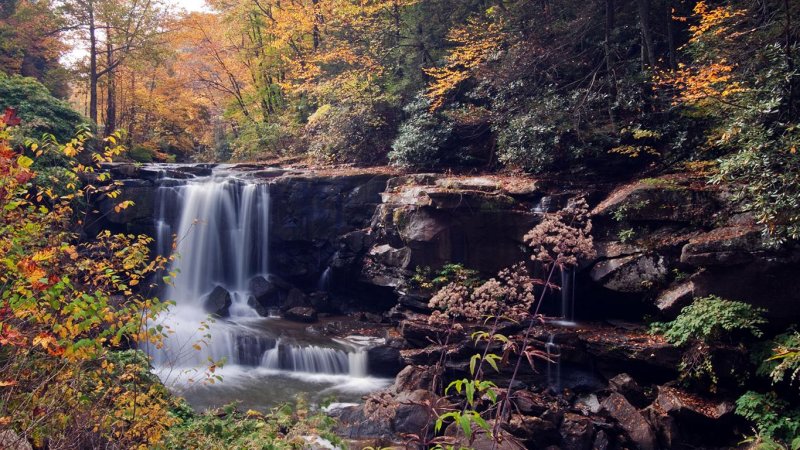 Laurel Creek Falls