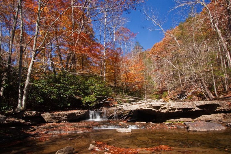 Mash Fork Falls