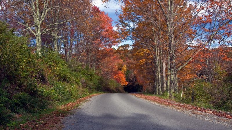 Near Hominy Falls