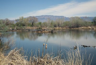 Rio Grande Nature Center