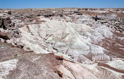 Petrified Forest NP