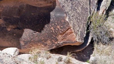 Petrified Forest NP