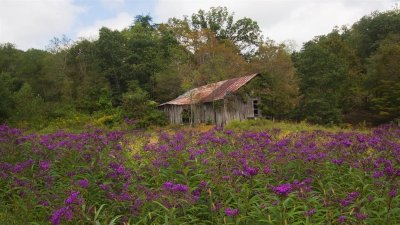 Clinch Mountain