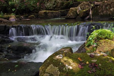 Tumbling Creek