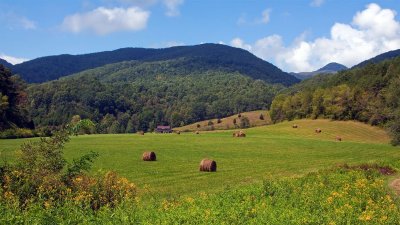 Clinch Mountain