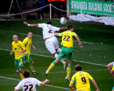 Williams Header