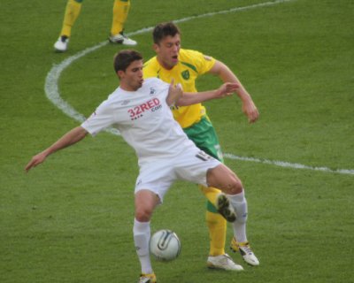 Borini Shield