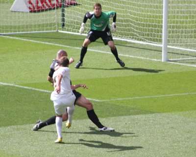 Borini Shot