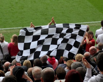 Swans Flagging