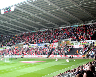 Forest Fans