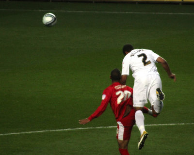 Dominant Williams