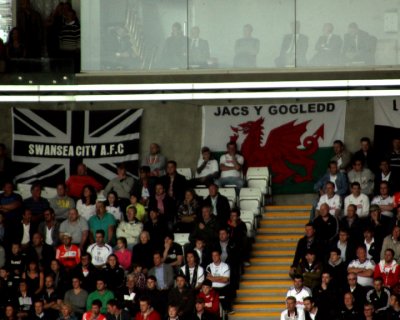 Fans, Flags and Pundits