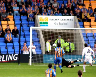 Swans Goal