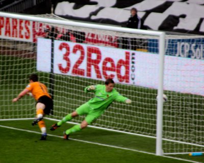 Dyer's Goal