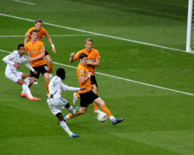Dyer Shoots