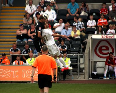 Shechter Challenge