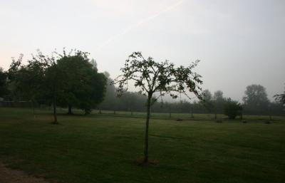 Dawn