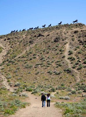 Heading up to the wild horse monument