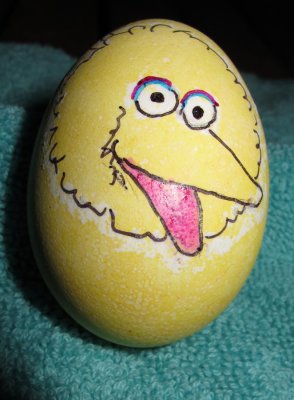 big bird egg