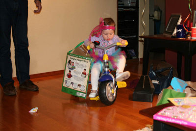 josie on trike with bags.jpg