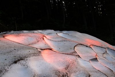 pink snow field