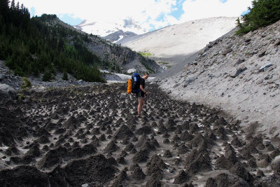 walking across ant hills