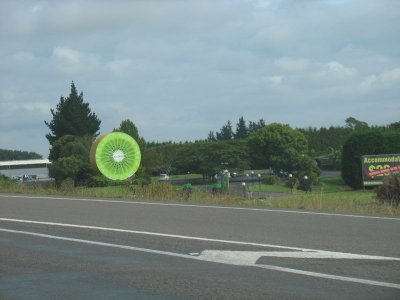 Giant kiwi