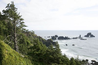 Coast Scenery