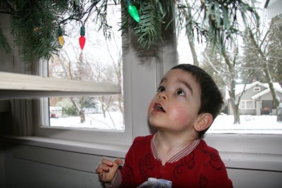 Henry couldn't get enough of those Christmas lights
